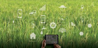 The Role 5G Can Play in Global Sustainability Efforts.