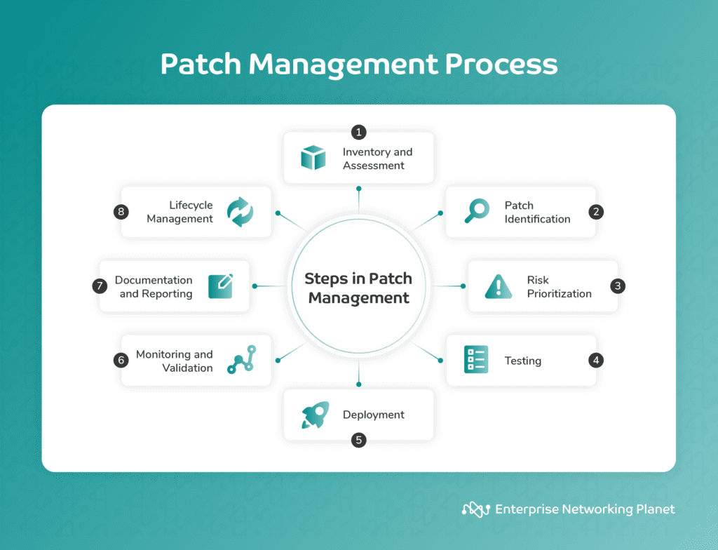 Infographic depicting the eight steps of the patch management process from Inventory and assessment to Lifecycle management.