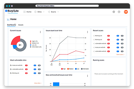 PortSwigger BurpSuite dashboard